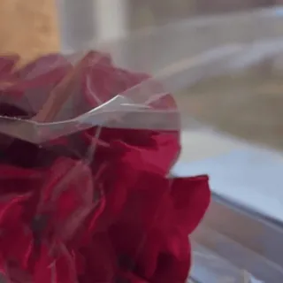 🥰 32dacf87 Blume, rot, Strauß, Plastikfolie whatsapp sticker