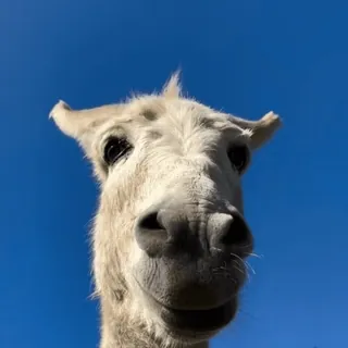 Больше стиков тут: @stikery4 whatsapp stickers