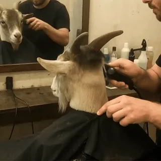 Больше стиков тут: @stikery4 telegram stickers