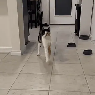 Больше стиков тут: @stikery4 telegram stickers