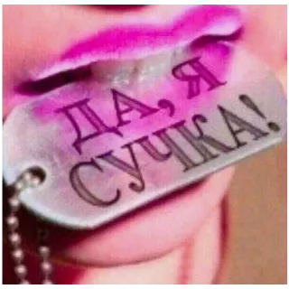 🍔 3768f3cd ДА, Я СУЧКА! ofensivo, insultante, insulto, ruso, groserías, palabrotas, maleducado telegram sticker