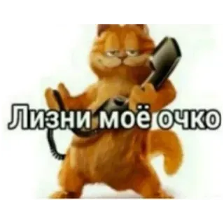 Больше стиков тут: @stikery4 telegram stickers