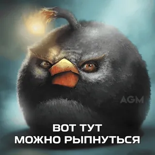💣 1ac6bb4d ВОТ ТУТ
МОЖНО РЫПНУТЬСЯ птица, злой, мультик telegram sticker