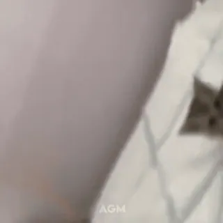 🛏️ c4d93fce telegram sticker