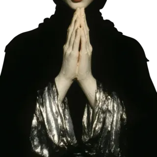 🙏 27f55cc5 prayer, hands, fashion, style, photography telegram sticker