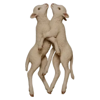 🐏 3ff232c2 lamb, sheep, animal, cute, farm, livestock, baby animal telegram sticker