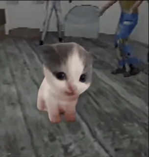 😁 2ae42db1 gatito, gato, animal, mascota whatsapp sticker