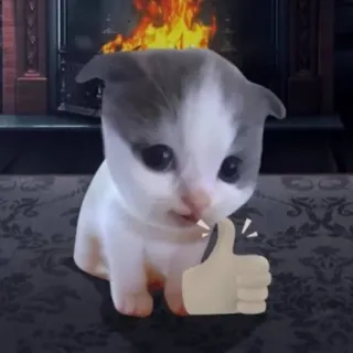 👍 33ca48b4 gato, gatito, chimenea, pulgar arriba, lindo, animal whatsapp sticker