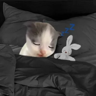 😴 cb802c79 ZZZ gatito, dormido, conejo, juguete, cama, siesta, gato whatsapp sticker