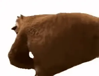 🍑 50680305 animal, bear, walking, brown, wildlife telegram sticker