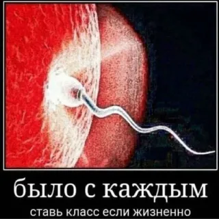 😁 ba9f28b3 было с каждым
ставь класс если жизненно sperma, uovo, concepimento, russo, vita, meme, nascita telegram sticker