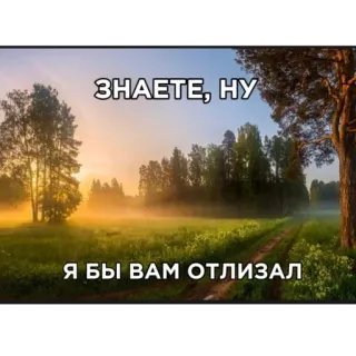🫥 8381698c ЗНАЕТЕ, НУ
Я БЫ ВАМ ОТЛИЗАЛ whatsapp sticker