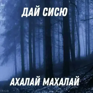 🙏 fe1efbbe ДАЙ СИСЮ
АХАЛАЙ МАХАЛАЙ hutan, pohon, gelap, samar, teks, rusia whatsapp sticker