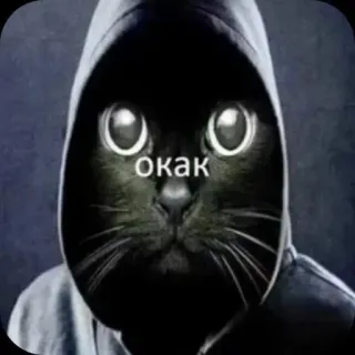 🌟 6f7a949e окак kot, bluza z kapturem, zwierzę, mem, śmieszne, czarny kot whatsapp sticker