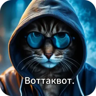 👍 d20c474a Воттаквот. kot, okulary, bluza z kapturem, zwierzę, fajne, styl whatsapp sticker