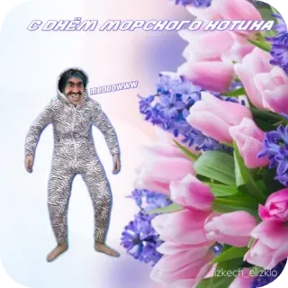 🌸 3f601d37 С ДНЁМ МОРСКОГО КОТИКА 问候, 印章, 花, 幽默, 俄语 telegram sticker