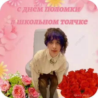 🌸 dacafa7e с днём поломки в школьном толчке 厕所, 学校, 俄语, 花, 庆祝, 喜剧 telegram sticker