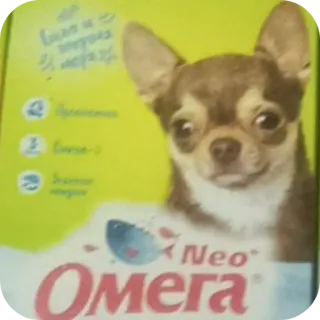 🐶 58453edf Омега собака, чихуахуа, питомец, животное, омега, рыба, еда, питание telegram sticker