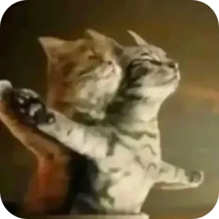 Больше стиков тут: @stikery4 whatsapp stickers