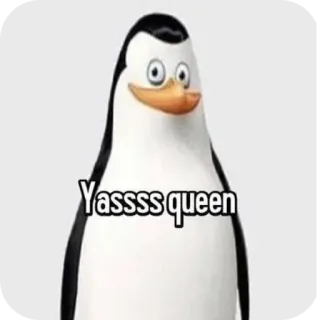 🔥 e9a709b4 Yassss queen Пингвин, Yassss Queen, Мем, Смешно, Интернет-сленг telegram sticker