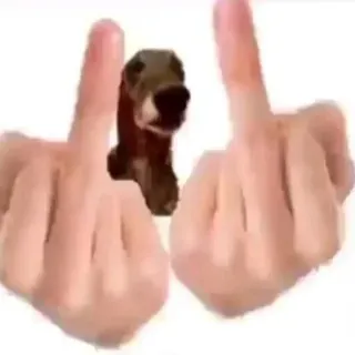 🖕 057d51ae jari tengah, menghina, ofensif, anjing, kasar, gestur telegram sticker