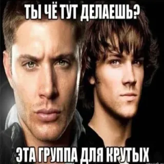 🤨 5242aa74 ТЫ ЧЕ ТУТ ДЕЛАЕШЬ?
ЭТА ГРУППА ДЛЯ КРУТЫХ Dean Winchester, Sam Winchester, Supernatural, Meme, Lucu, Rusia telegram sticker