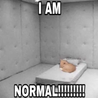 😴 a66f3fe7 I AM NORMAL!!!!!!!!!! kucing, meme, lucu, normal, humor telegram sticker