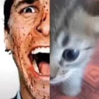 🫣 d14f7783 Meme, Kucing, Pria, Gambar terpisah, Lucu, Ekspresi, Binatang telegram sticker