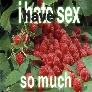 🍓 e56bf846 I hate sex so much beri, raspberry, meme, lucu, teks, humor telegram sticker