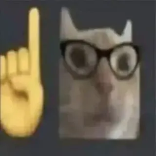 ☝️ ffbd1bc3 kucing, jari, emoji, kacamata, menunjuk, hewan, lucu telegram sticker