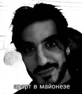 💖 83bd9196 арат в майонезе telegram sticker