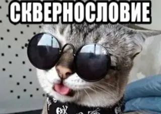 🌟 3cbe35f9 СКВЕРНОСЛОВИЕ kot, okulary przeciwsłoneczne, język, bandana, tekst, rosyjski, mem, zwierzę telegram sticker