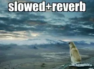 🌟 b5ccd5fe slowed+reverb pies, krajobraz, mem, spowolnione, pogłos, niebo, chmury telegram sticker