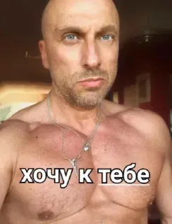 🔞 899cfbf4 хочу к тебе man, muscular, torso, russian, want you telegram sticker