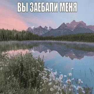 😌 2cfdf1ce ВЫ ЗАЕБАЛИ МЕНЯ natura, montagne, lago, offensivo, frustrazione telegram sticker