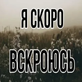 ⚰️ 98498a7a Я СКОРО ВСКРОЮСЬ telegram sticker