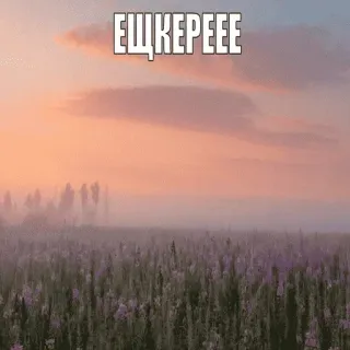 🤟 a3038e91 ЕЩКЕРЕЕЕ campo, paesaggio, natura, tramonto, cielo, nuvole, fiori telegram sticker