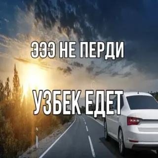 ⚠️ d12e537a ЭЭЭ НЕ ПЕРДИ
УЗБЕК ЕДЕТ uzbeko, barzelletta, auto, strada, divertente, slang telegram sticker