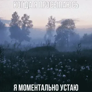 🥴 d2ba06c2 КОГДА Я ПРОСЫПАЮСЬ


Я МОМЕНТАЛЬНО УСТАЮ assonnato, stanco, russo, meme, esausto, mattina, umorismo telegram sticker