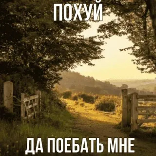 🤭 f8e9f535 ПОХУИ
ДА ПОЕБАТЬ МНЕ paesaggio, sentiero, natura, cancello, strada telegram sticker