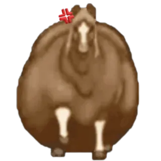 🤩 205d7e02 cavallo, animale, arrabbiato, meme, umorismo whatsapp sticker