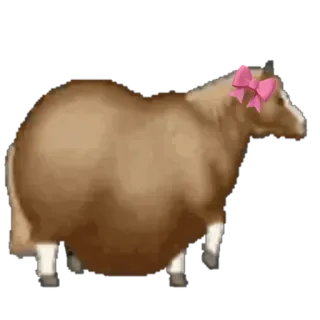 🤩 8eaf18ba pecora, animale, fiocco rosa, animale da fattoria, mammifero whatsapp sticker