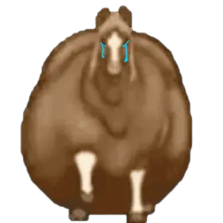 🤩 a1614850 cavallo, animale, marrone, piangere, triste, emoji, adesivo whatsapp sticker