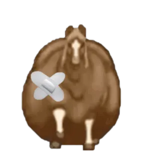 🤩 bd529aaf cavallo, cerotto, cartone animato, animale, divertente, ferito, guarigione whatsapp sticker