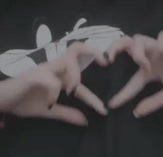 ❤️ 5b609a23 coeur mains, amour, geste, mains telegram sticker