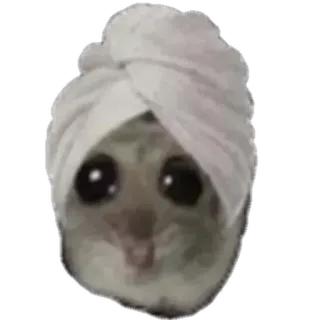 🙂 c8baac6b hamster, serviette, mignon, triste, animal, mammifère telegram sticker