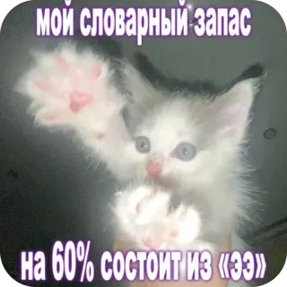 🥳 d66bfc85 мой словарный запас на 60% состоит из «ээ» кот, котёнок, словарь, мем, животное telegram sticker