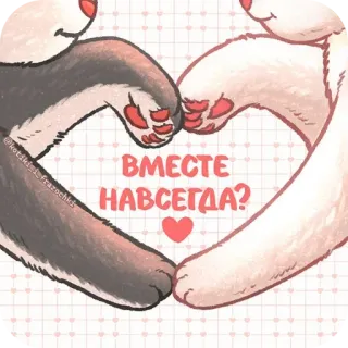 ❤ f15b6e67 ВМЕСТЕ НАВСЕГДА? 猫, 爱, 心, 永远在一起, 友谊, 动物 telegram sticker