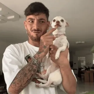 🤩 6c436f64 chien, homme, animal de compagnie, chihuahua, drôle, mignon, animal telegram sticker