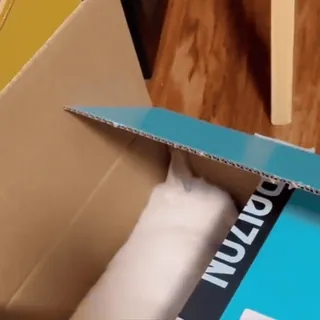 🤩 7da1457c telegram sticker